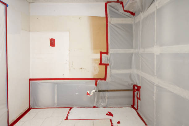Best Emergency Mold Remediation  in Hastings, NE