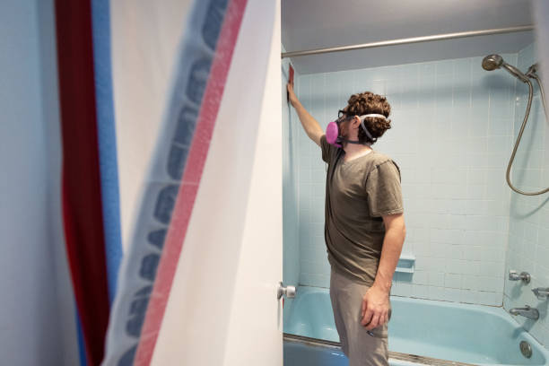 Best Commercial Mold Inspection  in Hastings, NE