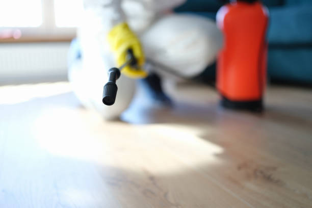 Best Forensic Mold Investigation  in Hastings, NE