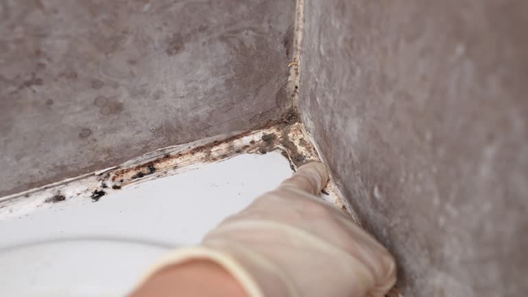 Best Indoor Air Quality Assessment  in Hastings, NE